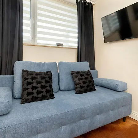 Przytulne Przyjazne Zwierzetom By Renters Apartment